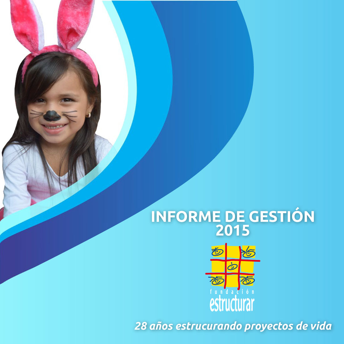 Informe de Gestión 2015